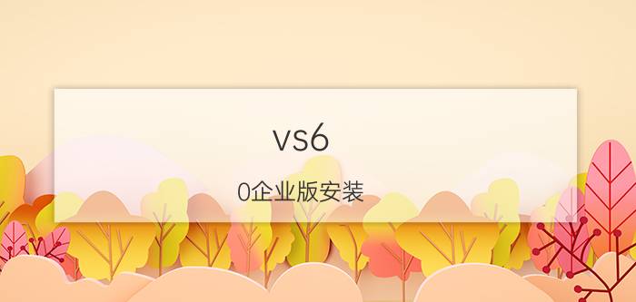 vs6.0企业版安装 企业pk是什么？